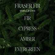 Fraser Fir 11 oz Soy Candle